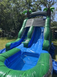 IMG 2787 1750209183 12' Tropical Inflatable Slide Wet/Dry
